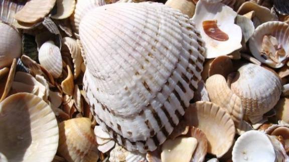 Произведения художников группы «Корейская посокхва» все более популярны