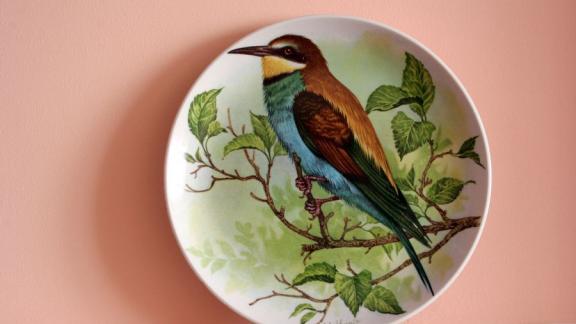 В Ставрополе открывается весенняя выставка о певучих обитателях лесов и степей