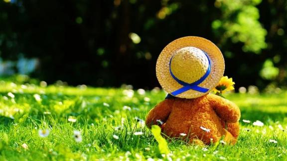 Услугой «Социальная няня» в Невинномысске воспользовались более 700 раз