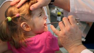 Вирус кори атакует Ставропольский край