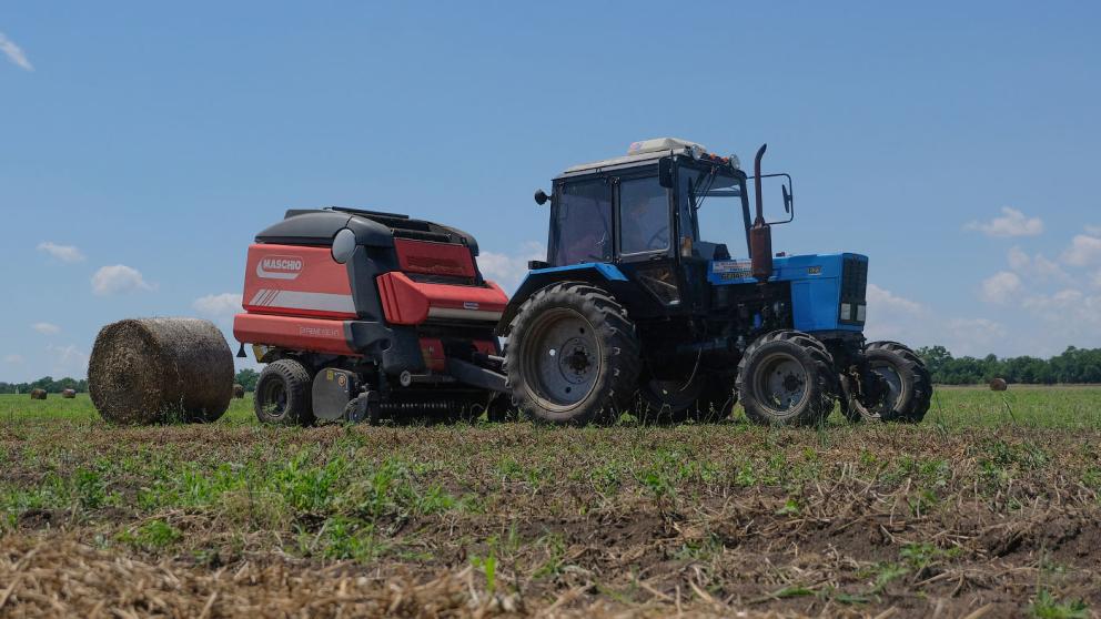 «Племенное хозяйство «САиДА» на Ставрополье заготавливает корма для герефордов