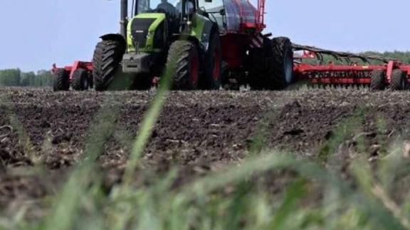 Аграрии Ипатовского округа Ставрополья увеличили посевы горчицы и льна