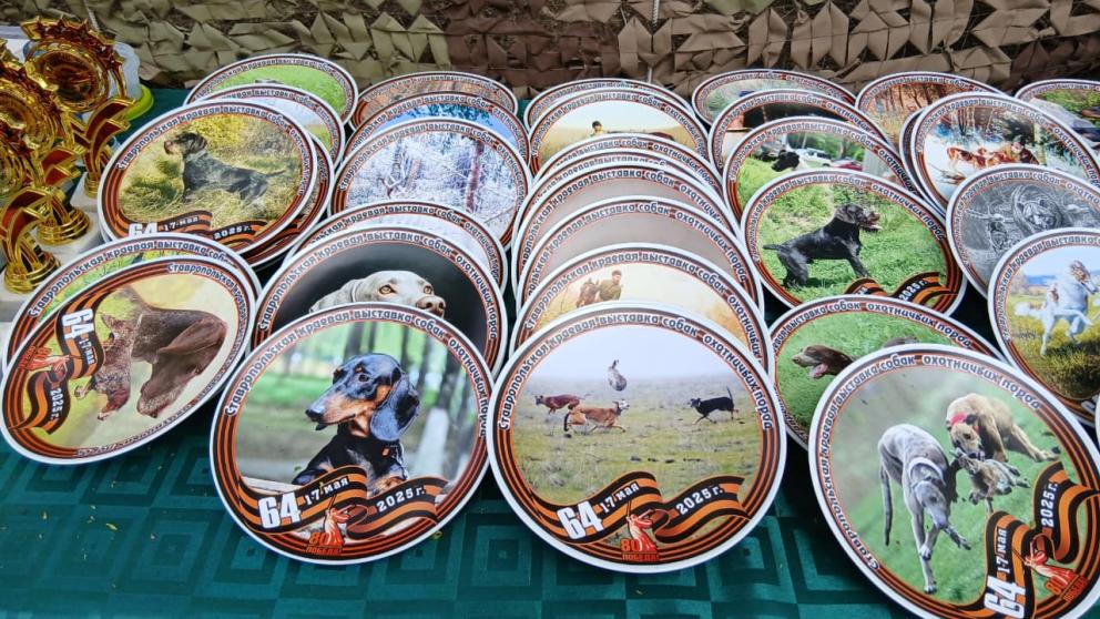 Лучшие охотничьи собаки определены на выставке на Ставрополье