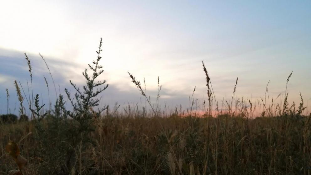 В России будут разработаны национальные стандарты в сфере безопасности туризма