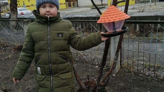 Невинномысские школьники изготовили кормушки для птиц