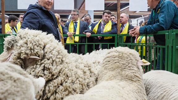 Ставрополье в пятерке регионов лидеров по наградам выставки «Золотая осень – 2016»