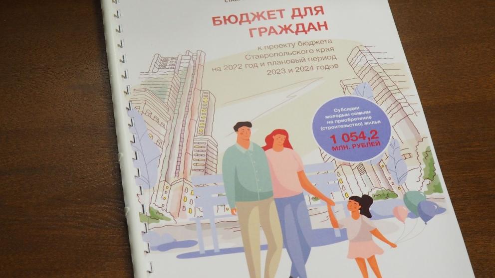 Более 19 млрд рублей в 2022 году направят на Ставрополье на поддержку материнства и детства