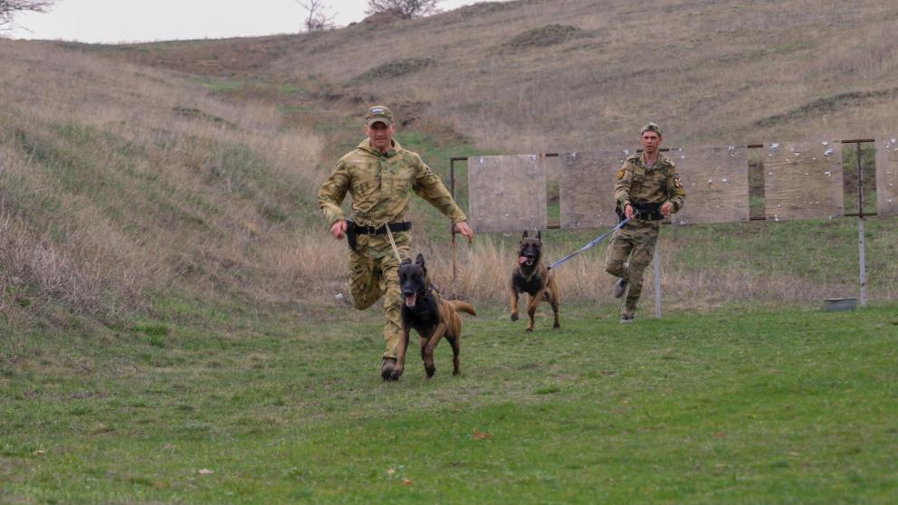 Кинологи Росгвардии готовятся к международным соревнованиям на Ставрополье