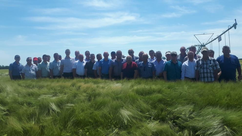 Петровский округ Ставрополья к жатве готов