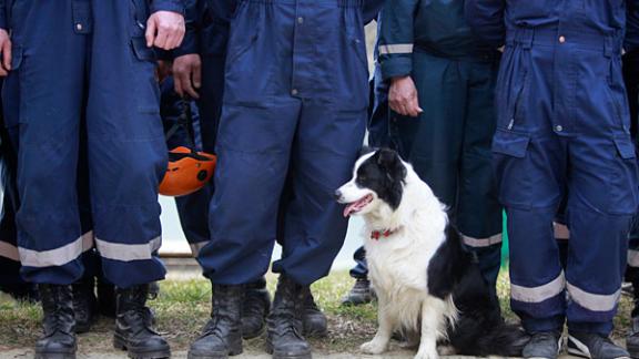 Около 200 сотрудников МЧС патрулируют лесопарковые зоны Ставрополя