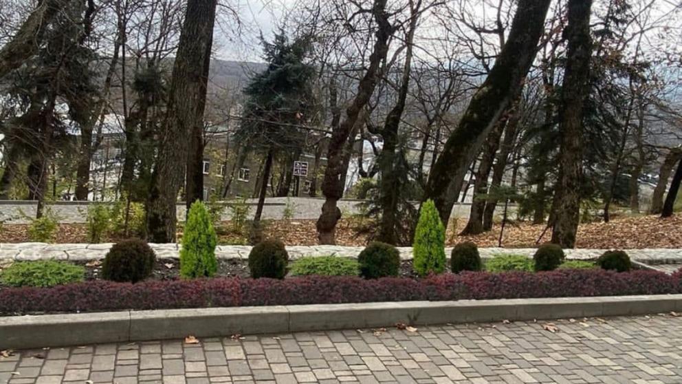 Однолетние цветы на клумбах в Железноводске заменят на многолетние