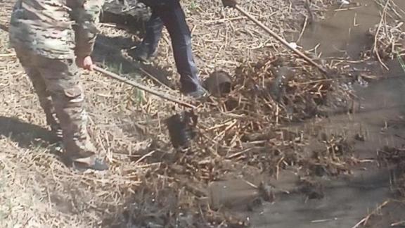 Новоселицкий округ Ставрополья принял участие в акции «Вода России»