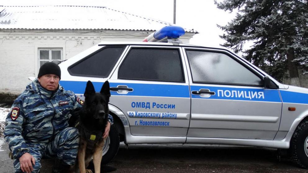 Полицейская овчарка Аполлон изобличила наркомана в Кировском округе