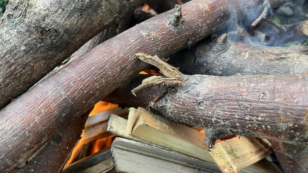 Губернатор Владимиров: Вводим на Ставрополье особый противопожарный режим в связи с аномальной жарой