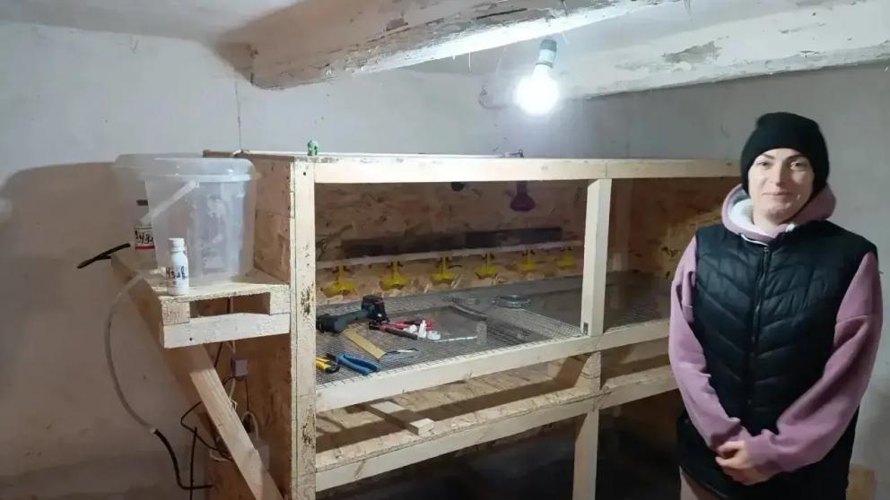 Соцконтракт помогает жителям Труновского округа Ставрополья развивать своё дело