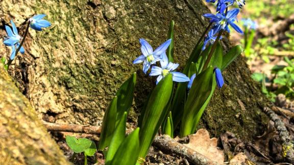 На Ставрополье созданы охранные зоны вокруг 32 памятников природы
