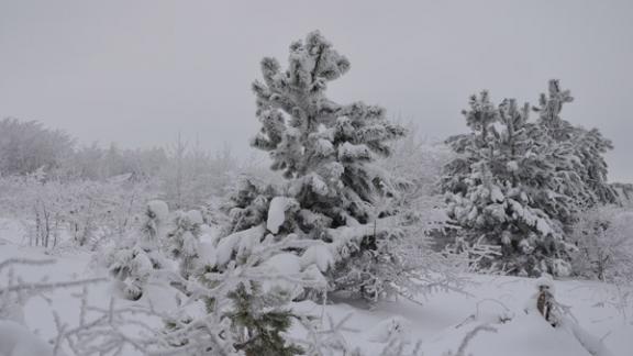 Ставропольский заказник «Русский лес» расширяет границы