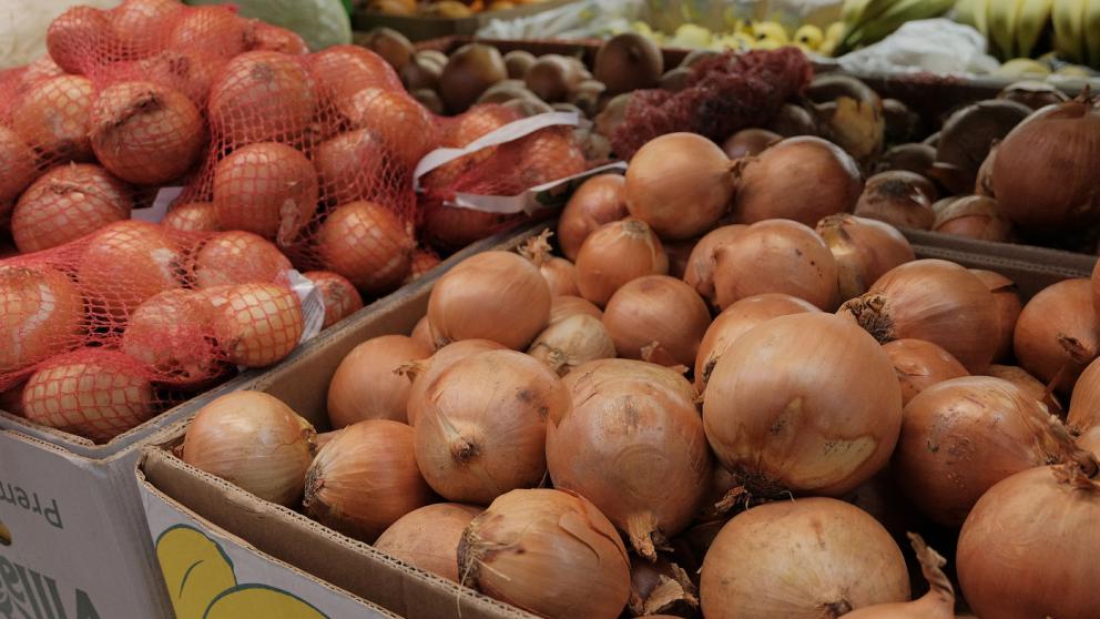 Губернатор Ставрополья: Край – в пятёрке лидеров по выращиванию лука