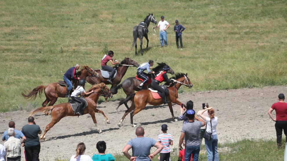 Казаки станицы Суворовской отметили День России конными состязаниями