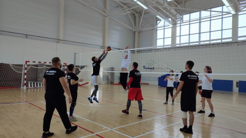 Спартакиада трудовых коллективов прошла в Новоалександровском округе Ставрополья