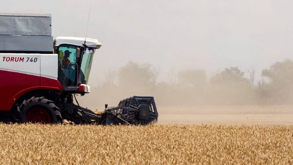 Более 8,5 миллиона тонн зерна собрали аграрии Ставрополья