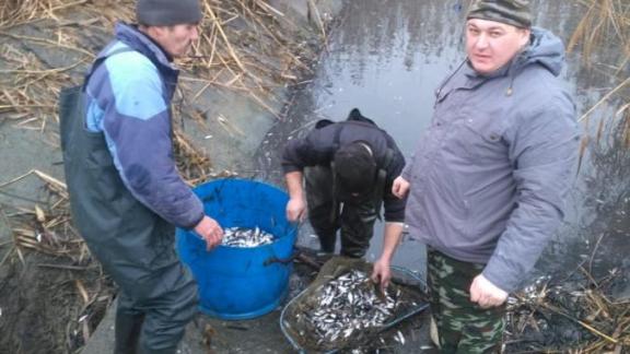 В озере Буйвола спасли рыбу