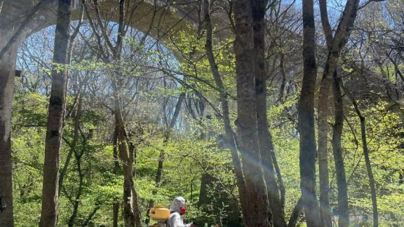 В Ставрополе начали масштабную акарицидную обработку от клещей