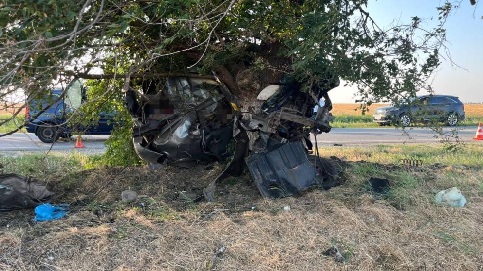 Три человека погибли в ДТП с деревом в Кочубеевском округе Ставрополья