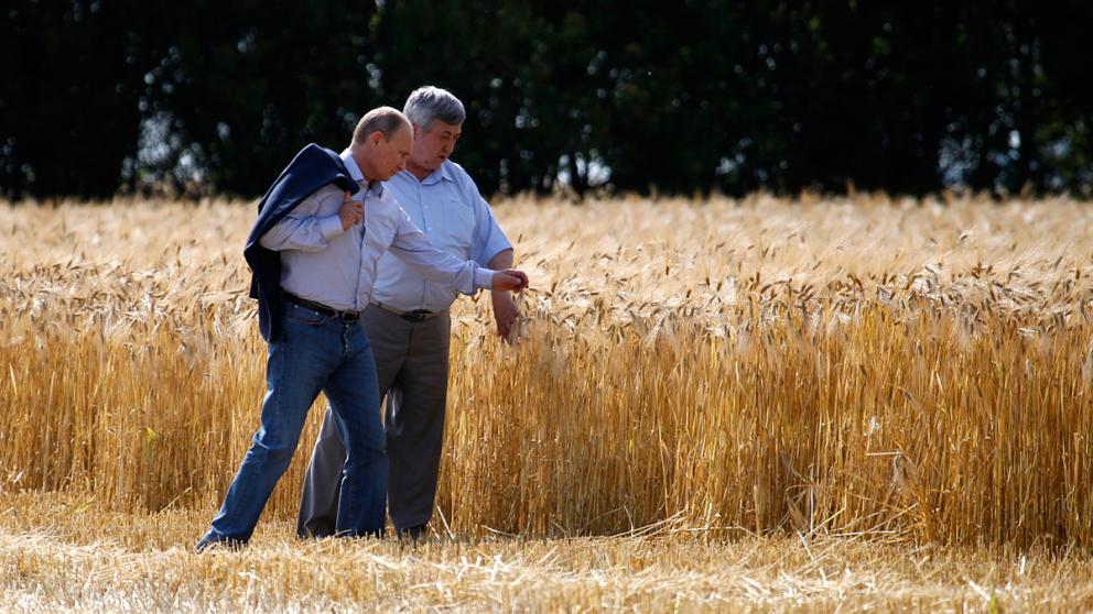 2014 год. Время спорта, культуры, Шекспира...