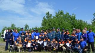 Испытания кинологической службы СКФО завершились на Ставрополье