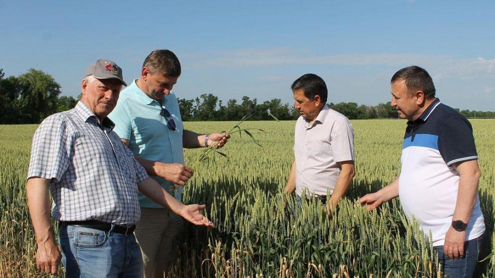 В Труновском округе Ставрополья прошёл объезд хлебных полей