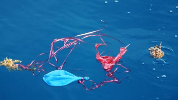 Минприроды Ставрополья: запуск гелиевых шаров в небо вредит окружающей среде