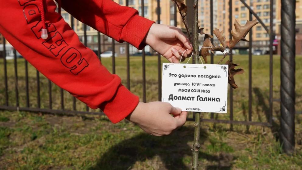 Школьники Ставрополя высадили аллею краснолистных дубов в честь 80‑летия Победы