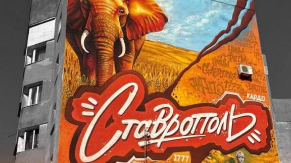 Новое граффити появилось в Ставрополе в преддверии «КАРДО»