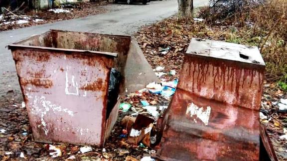 В Лермонтове объяснили появление новых баков на контейнерных площадках