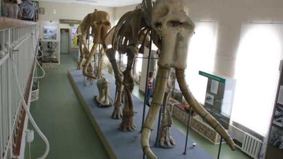 В Ставропольском музее-заповеднике проходит акция для студентов «СЛОН»