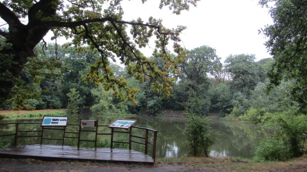 Знаки туристической навигации появятся в местах природных достопримечательностей Ставрополья 