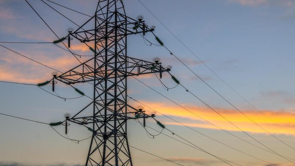 На Ставрополье свыше 30 ЛЭП оснастят птицезащитными устройствами