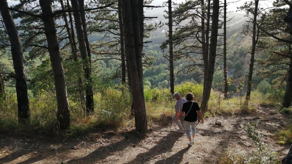 На Ставрополье сняли ограничения посещения лесов