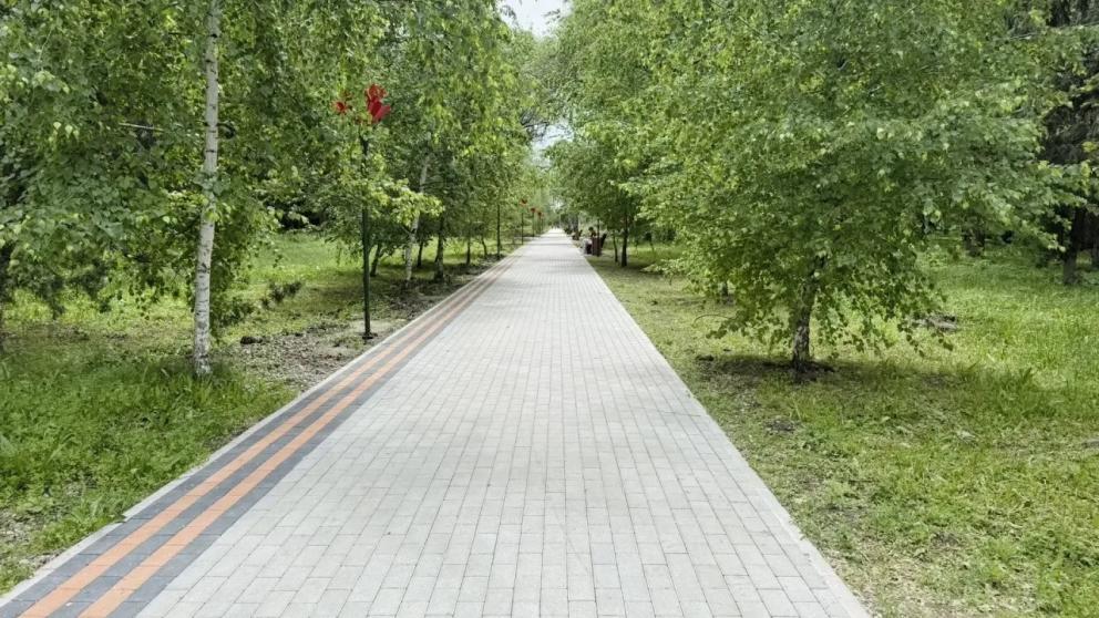 В селе Донском появилась «Аллея Памяти»