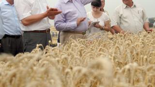 Губернатор Гаевский проинспектировал предприятия в Новоалександровском районе