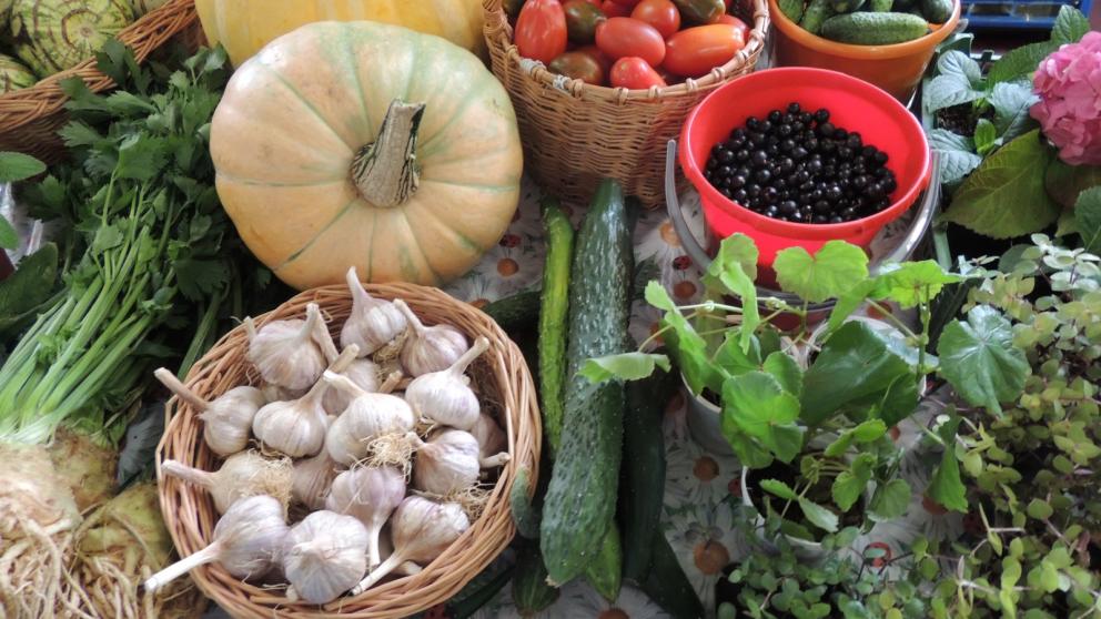 На Ставрополье День урожая отметят праздничной ярмаркой