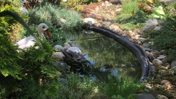 В Октябрьском районе Ставрополя выберут самые красивые дворы