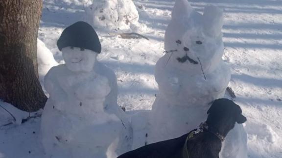 В ставропольском лесу заметили грустного снежного барса