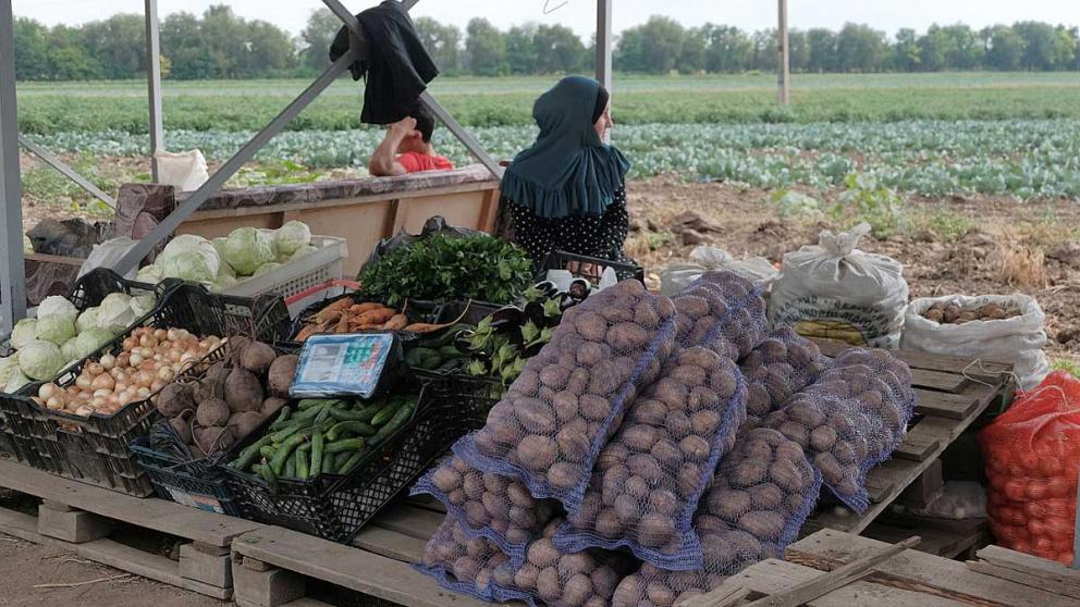 В Ставрополе ведётся борьба с нелегальной торговлей
