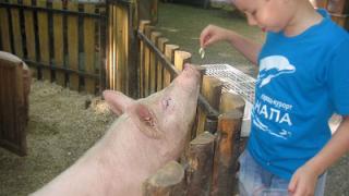 Ставропольский зоопарк «Берендеево» приглашает на свой день рождения