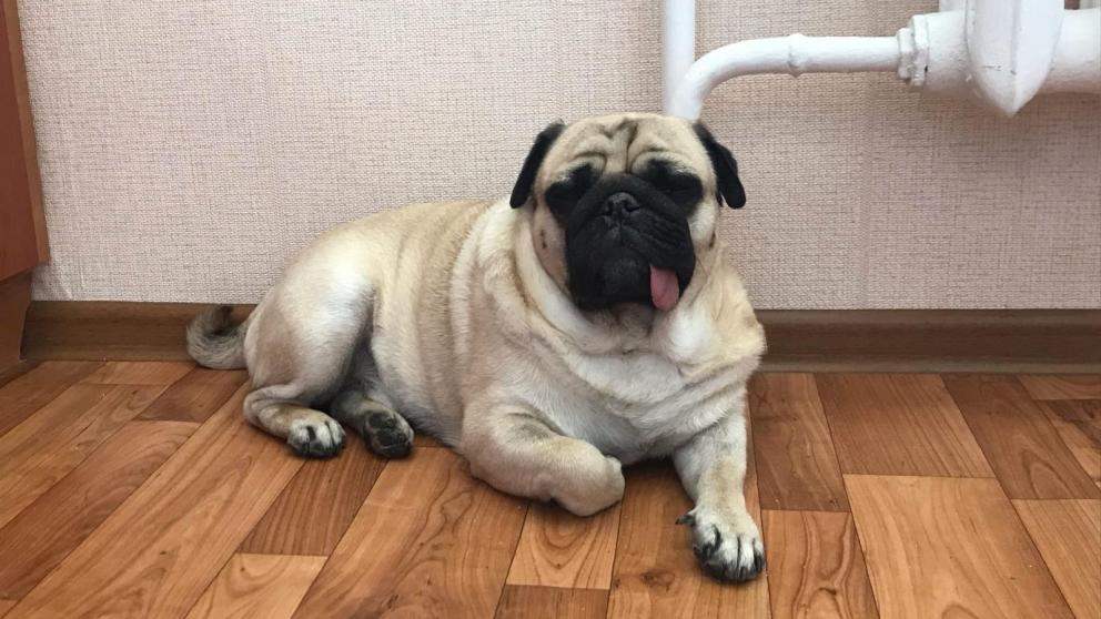 Тепло начнёт поступать в дома жителей Ессентуков с 22 часов