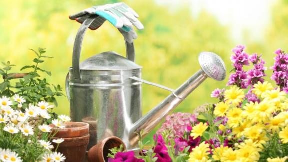 Нововведения в «дачной конституции» касаются каждого второго жителя Ставропольского края