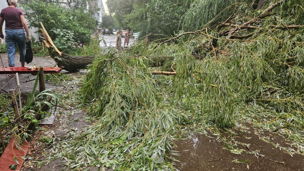 Электроснабжение восстановят после урагана в Ессентуках 6 августа
