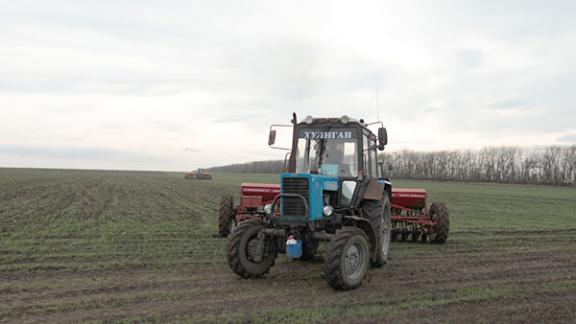 Ход посевной и подготовку к уборке проверили в Александровском районе